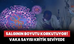 DSÖ: Afrika'da bu yıl 30 bin maymun çiçeği vakası görüldü