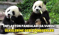 Enflasyon pandaları da vurdu! Ülkelerine geri dönecekler