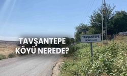 Diyarbakır Tavşantepe köyü nerede? Tavşantepe köyünün nüfusu ne kadar?