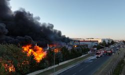 Tekirdağ'daki sanayi yangınları korkutuyor!