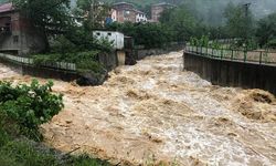 Trabzon'da sel ve taşkının bilançosu belli oldu