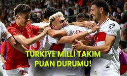 Dünkü Türkiye – Galler maçını kim kazandı? Galler milli futbol takımı Türkiye millî futbol takımı puan durumları!