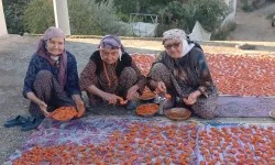 90 yaşındaki 3 arkadaş uzun ömürlerinin sırrını açıkladı