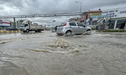 Van'da aşırı yağış sele neden oldu, evleri su bastı