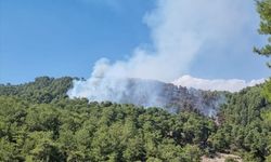 Antalya'nın Kaş ilçesinde orman yangını