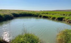 Harran Ovası'nda dev obruklar