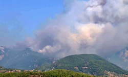 Muğla’da orman yangını