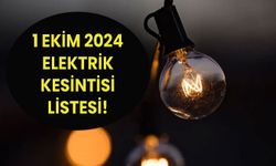 İstanbul planlı elektrik kesintisi! 1 Ekim 2024 Kadıköy, Avcılar, Esenyurt elektrik kesintisi SORGULAMA!