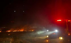 Diyarbakır’da yol kenarındaki anız yangını sürücülere zor anlar yaşattı