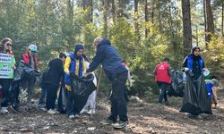 Osmaniye'de ormanlık alanlar temizlendi