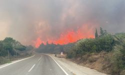 Çanakkale'de 30 Kasım'a kadar ormanlara giriş yasak