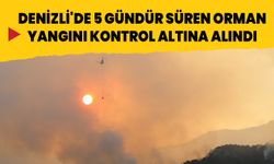 Denizli'de 5 gündür devam eden orman yangını kontrol altına alındı