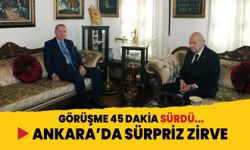 Cumhurbaşkanı Erdoğan, MHP Genel Başkanı Bahçeli ile görüştü