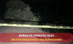 Bursa'da bir bahçede 3 kişi öldürülmüş halde bulundu