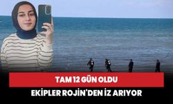 Tam 12 gün oldu! Rojin'den iz aranıyor