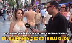 Dilruba Kayserilioğlu'na 11 ay 20 gün hapis cezası