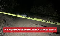 Dedesinden para alamayan genç baltayla dehşet saçtı