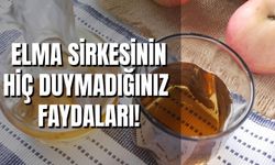 Elma Sirkesinin Hiç Bilmediğiniz Faydaları! Evde Nasıl Yapılır?