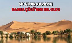 50 yıldır kuraktı: Sahra Çölü'nde sel