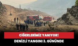 Ciğerlerimiz yanıyor: Denizli yangını 3. gününde