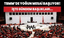 TBMM'de yoğun mesai başlıyor! İşte gündem başlıkları