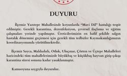 Mavi dil hastalığı Adana'ya karantina getirdi