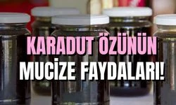 Bu Besin Şifa Depoluyor, Hem de Çok Lezzetli! Karadut Özünün Faydaları