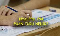 P93 puan türü nedir? P94 puan türü nedir? P93, P94 puan türü meslekleri…