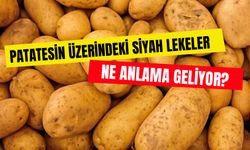 Patatesin Üzerindeki Siyah Noktalar Sanıldığı Gibi Değilmiş... Bakın Ne Anlama Geliyor!