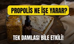 Tek Damlası Bile Yaşlanmaya Etkili! Propolis Ne İşe Yarar?