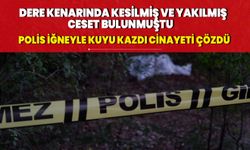 Edirne'de kan donduran cinayet! Polis iğneyle kuyu kazdı cinayeti çözdü