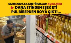 Dana etinden eşek eti, pul biberden boya çıktı... Sahte gıda satan firmalar açıklandı