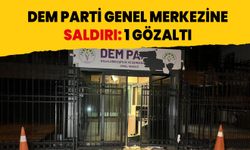 DEM Parti genel merkezine saldırı: 1 gözaltı