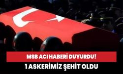 MSB acı haberi duyurdu! 1 askerimiz şehit oldu