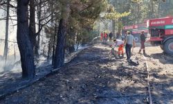 Kütahya'da anız yangını ormana sıçradı