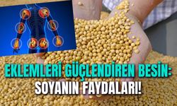 Hem Doğal Kolajen Hem de Eklemleri Güçlendiriyor: Soyanın Faydaları!