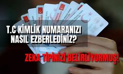 T.C. Kimlik Numarasını Ezbere Bilenler Buraya! Meğer Zeka Türünüzü Belirliyormuş...