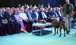 Köpek Antalya'da fuar alanına girip dron kovaladı