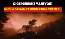 Muğla, orman yangınlarına esir oldu