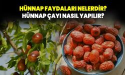 Hünnap Nedir? Hünnap Faydaları Nelerdir? Hünnap çayı nasıl yapılır?