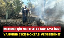 Mehmetçik ve itfaiye sahaya indi: Yangının çıkış noktası ve sebebi ne?