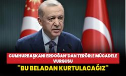 Cumhurbaşkanı Erdoğan: Teröristlerin inlerini başına geçirdik