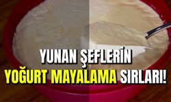 Bu Tarifle Yapılan Yoğurt Tam Kıvamında Oluyor! Yunan Şeflerden Alınan Yoğurt Mayalama Sırları