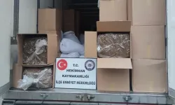 Malatya'da 7 ton kaçak tütün ele geçirildi