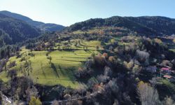 Kastamonu'da sonbaharın renkleri görenler mest etti