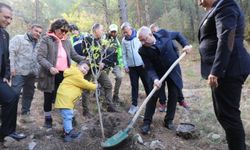 Kazdağları'na Atatürk'ün anısına fidan dikildi