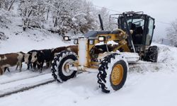 Amasya'da köy yolları kar yağışından ulaşıma kapandı