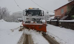 Bitlis'te 84 köy yolu ulaşıma kapandı, karla mücadele başladı