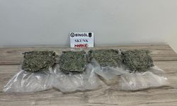 Bingöl’de 2 kilo 86 gram skunk yakalandı