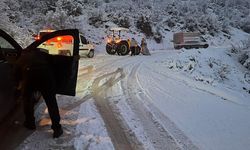 Siirt'te kar nedeniyle kapanan yollar ulaşıma açıldı